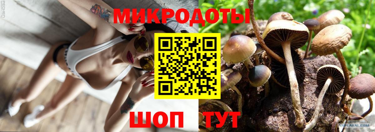 Гусиноозёрск  Псилоцибиновые грибы прущие грибы  Галлюциногенные грибы Psilocybe  Вход с VPN 