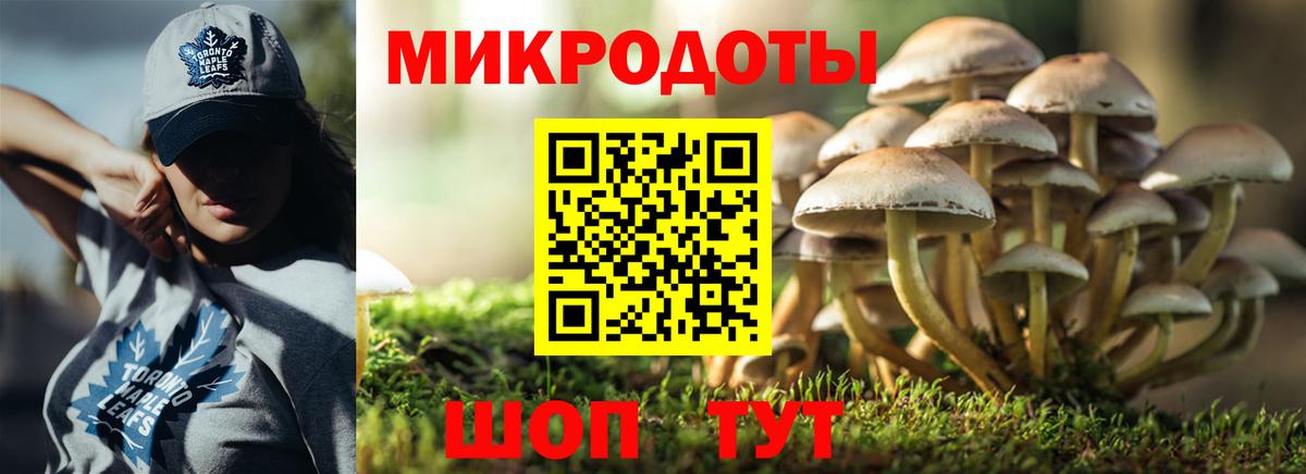 Галлюциногенные грибы GOLDEN TEACHER Гусиноозёрск